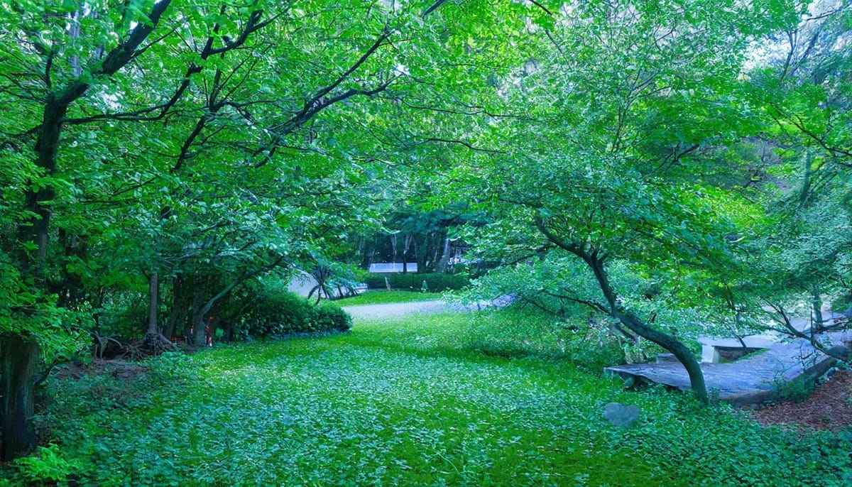 層正規化DyISRU關係