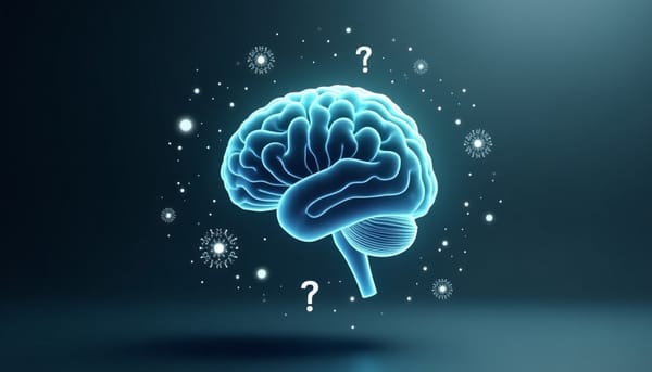 NeuroQA 3D MRI問答